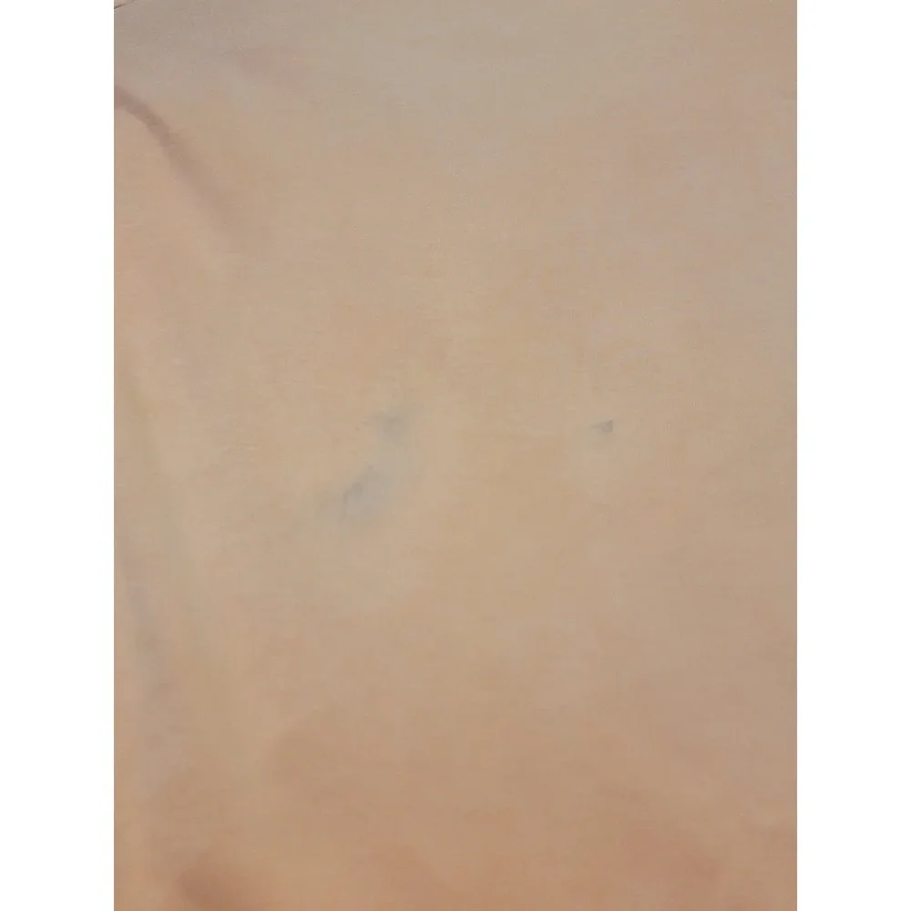 Polo Ralph Lauren Mens Orange Pima Interlock Cotton Short Sleeve Polo Shirt L